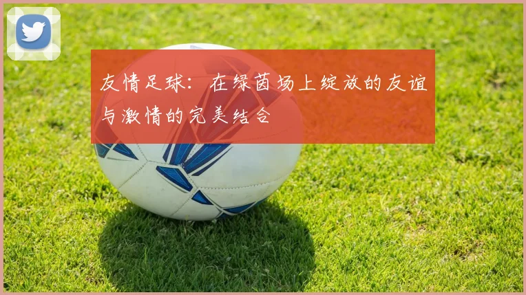 友情足球：在绿茵场上绽放的友谊与激情的完美结合