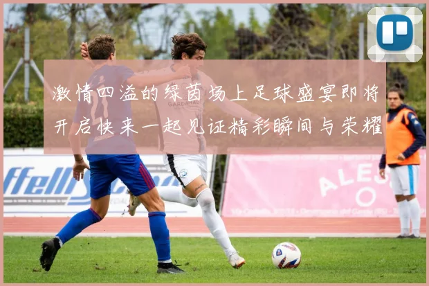 激情四溢的绿茵场上足球盛宴即将开启快来一起见证精彩瞬间与荣耀时刻