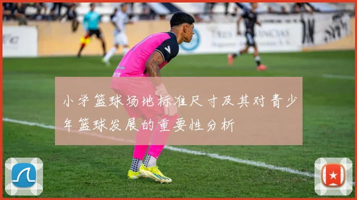 小学篮球场地标准尺寸及其对青少年篮球发展的重要性分析