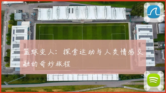 篮球变人：探索运动与人类情感交融的奇妙旅程