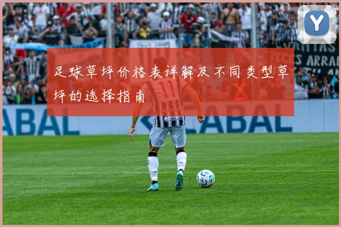 足球草坪价格表详解及不同类型草坪的选择指南