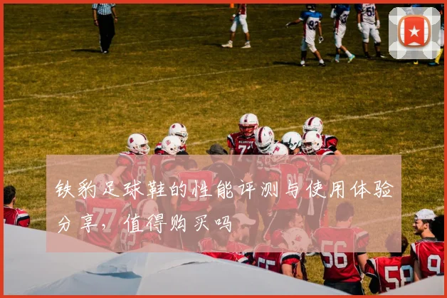 铁豹足球鞋的性能评测与使用体验分享，值得购买吗